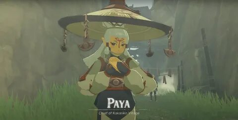 Paya tears of the kingdom