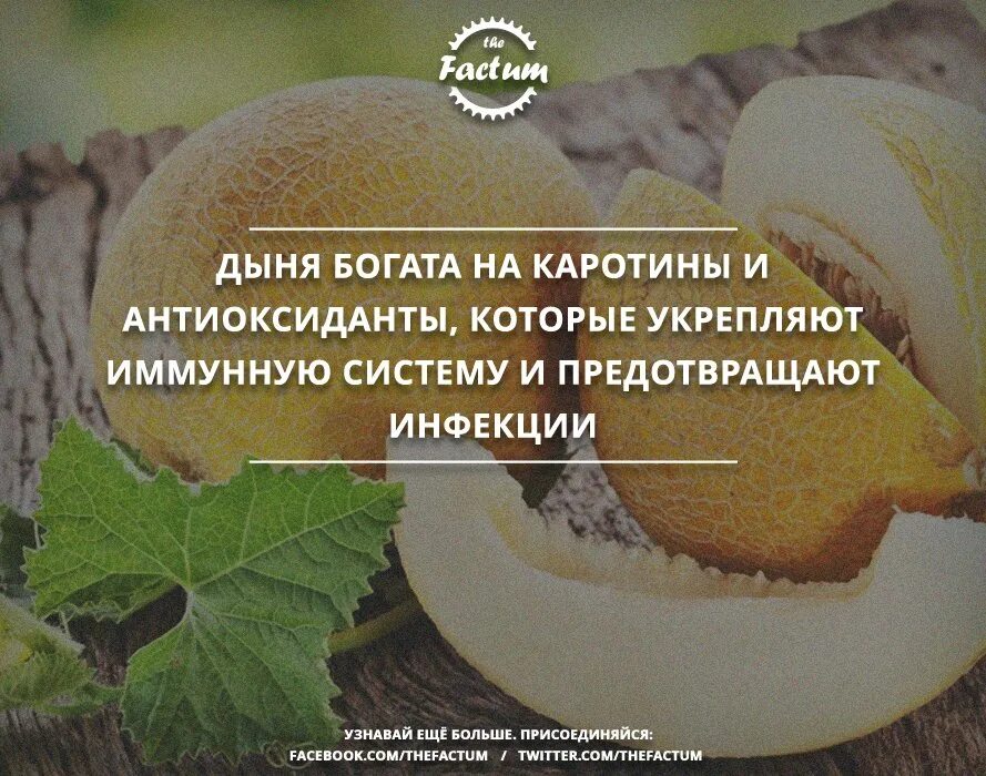 Сколько можно съесть дыни