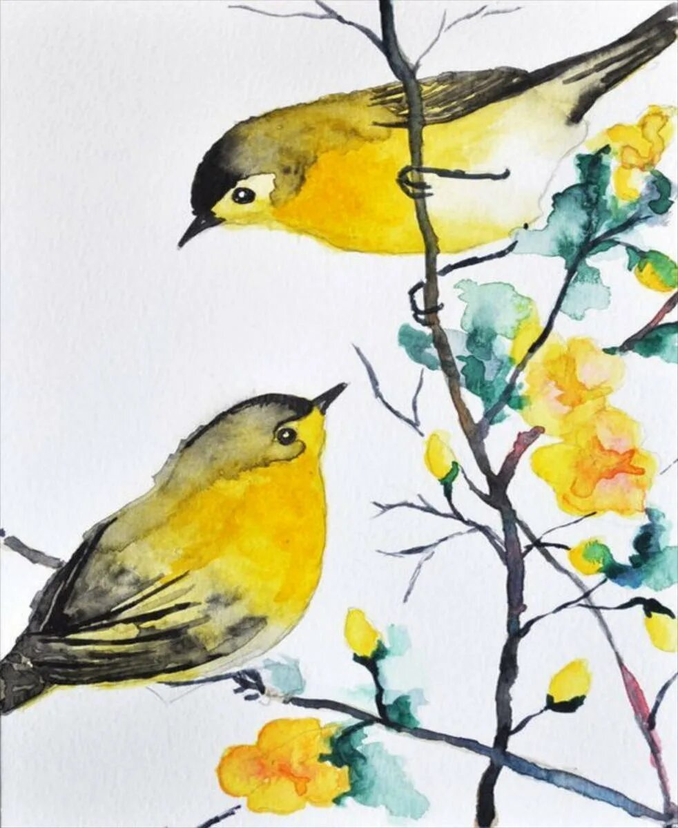 Весенние птицы рисунок. Птица рисунок. Рисование весенних птиц. Рисование птицы на ветке. Птицы акварелью.