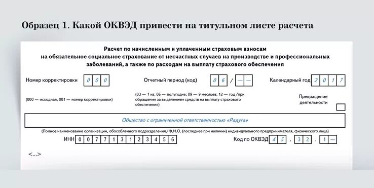 Какой оквэд указывать основным. ОКВЭД образец. Образец заполнения ОКВЭД. ОКВЭД форма заявления. ОКВЭД таблица.