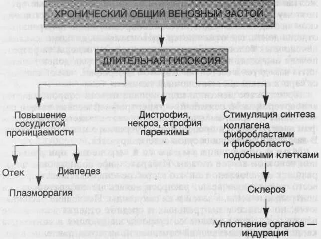 Венозный застой лечение. Морфология хронической сердечной недостаточности. Острый общий венозный застой. Хронический венозный застой. Хронический общий венозный застой развивается при.