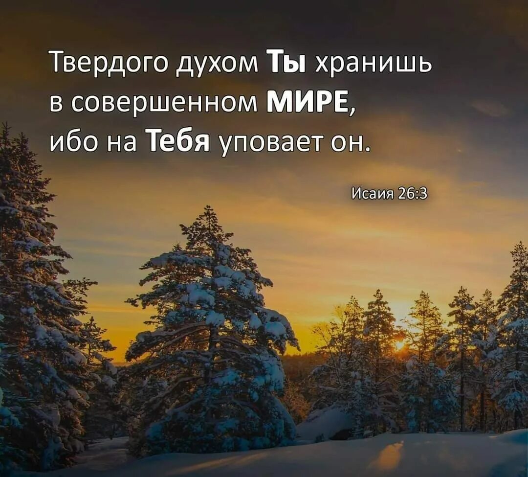 Иисус христос прощение. Христос и природа. Душа человека. Гармоничное пространство. Ты хранишь в совершенном мире.