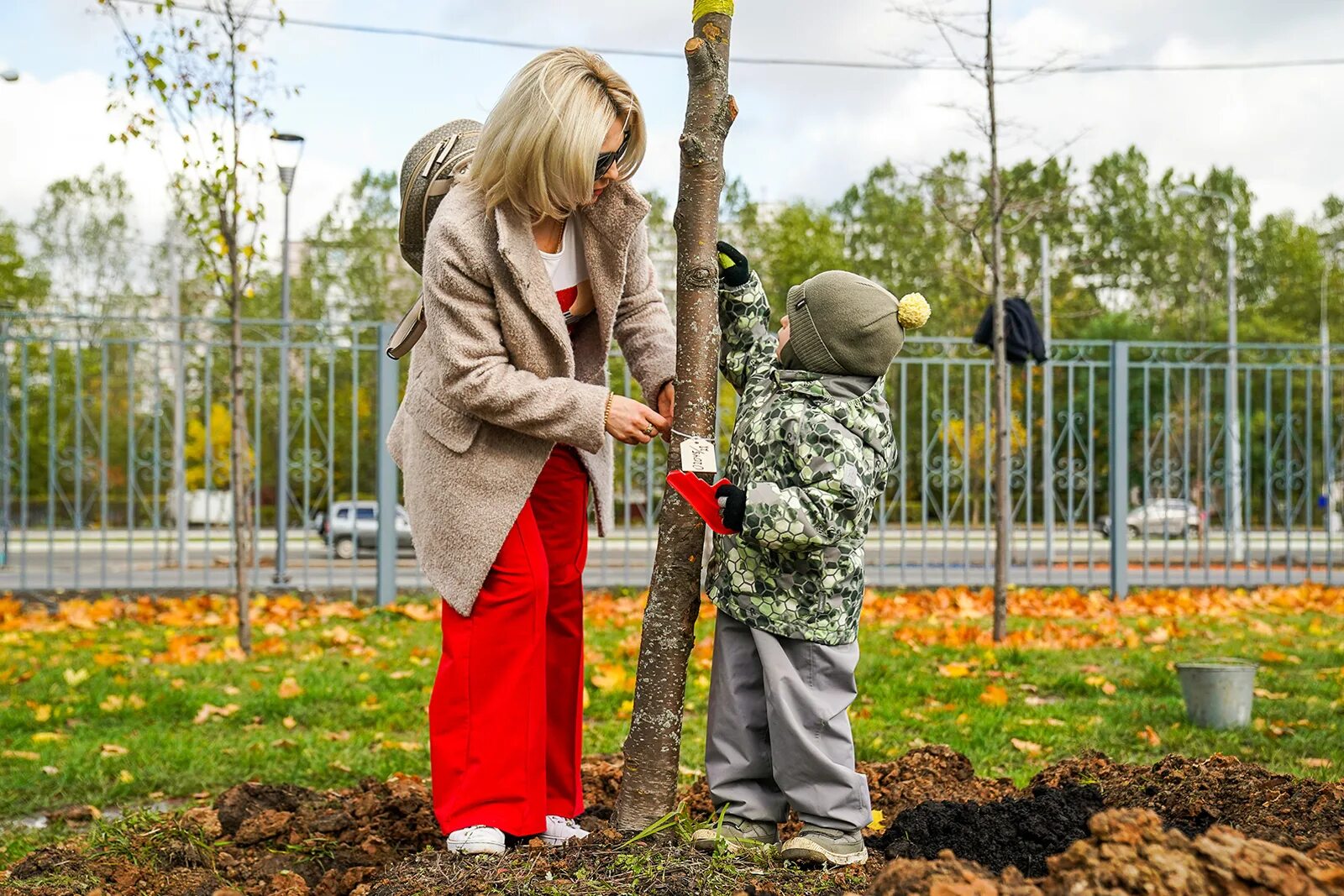 Пара посадила деревья