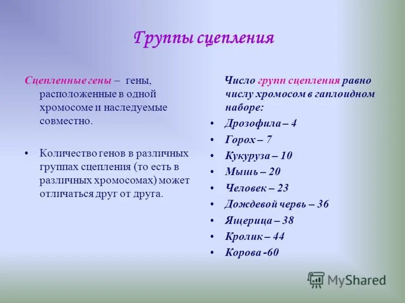 Число групп сцепления. Число групп сцепления у человека. Примеры групп сцепления у человека. Хромосома это группа сцепления генов. Группу сцепления образуют.
