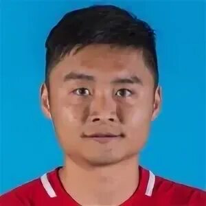 Zhang l f. Zhang l f