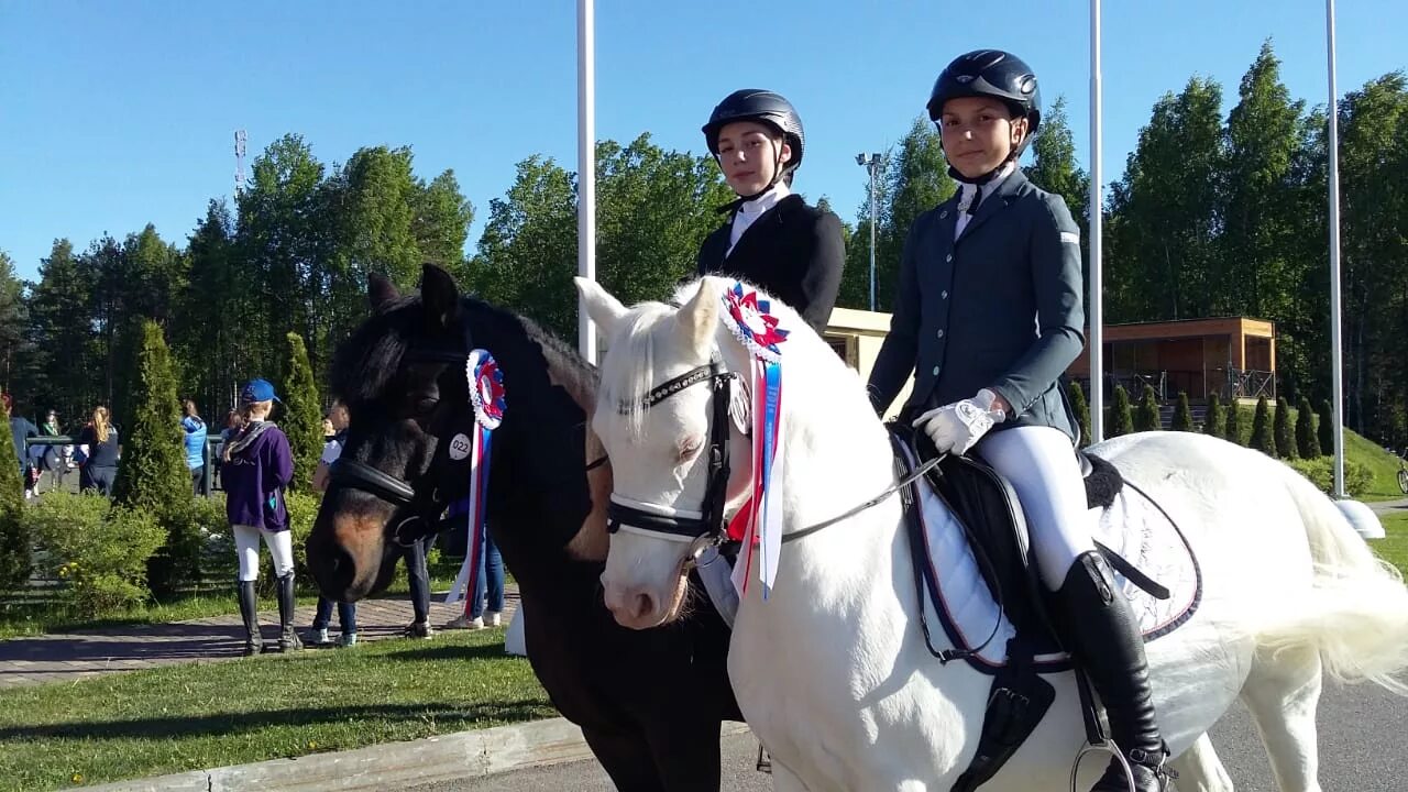 школа верховой езды, новосибирск. конный магазин петербург. амуниция для скачек. конный магазин петербург. Horse club журналы.
