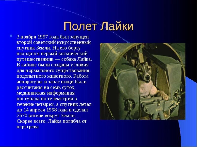 Первая космическая автор. Второй искусственный Спутник земли 1957. 3 Ноября 1957 в космос. Второй Советский Спутник был запущен 3 ноября 1957 года. Лайка в космосе презентация.