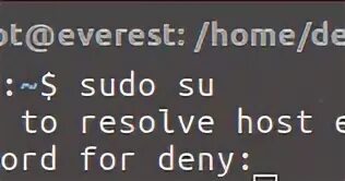 Curl could not resolve host. Curl could not resolve host