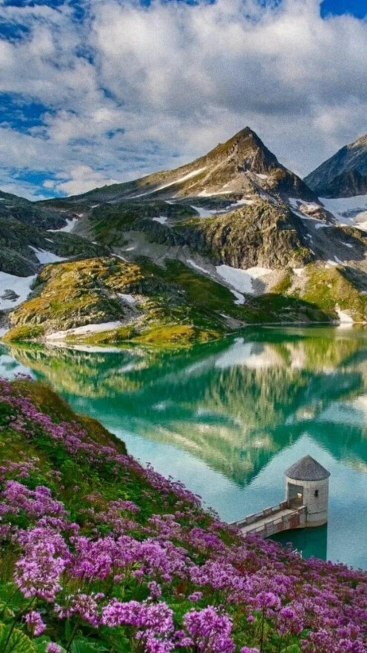 The most beautiful color