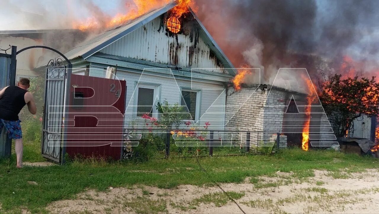 Новости в белой березке