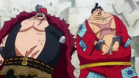 Fat one piece