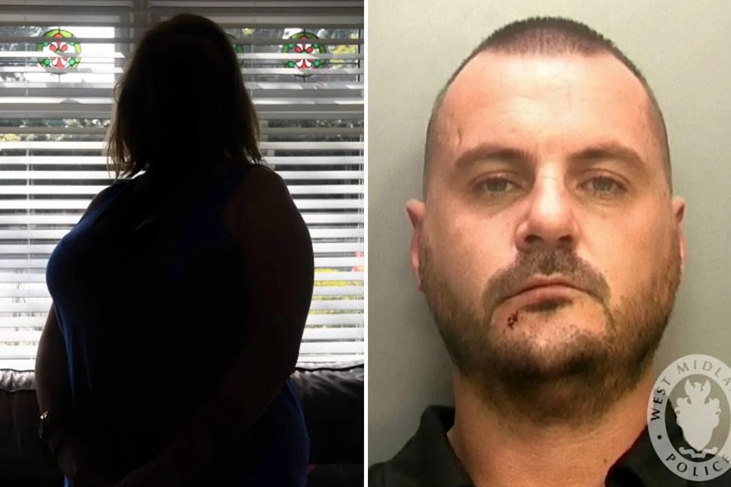 1 fill in survived violent. I survived my trip to nyc принт. 1 fill in survived violent. Составить предложение со словом mythical creatures. Humped back.