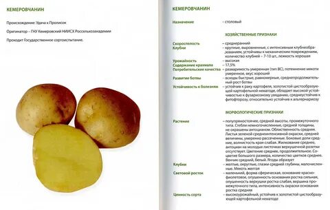 Сорт алексеевич характеристика