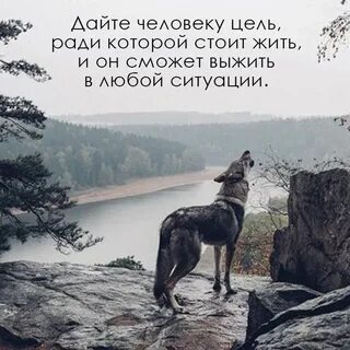 Цель ради цели что это