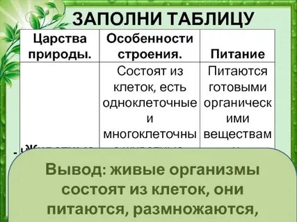 Строение клеток организмов разных царств таблица