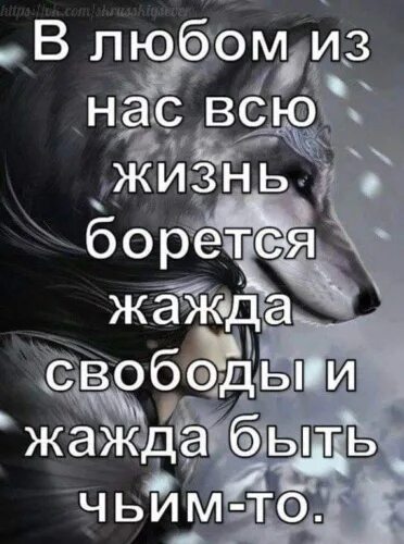 Жажда свободы
