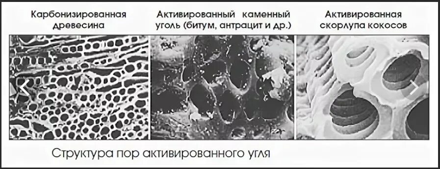 Пористая структура активированного угля. Активированный уголь пористость. Поры древесного активного угля. Структура пор кокосового активированного угля.