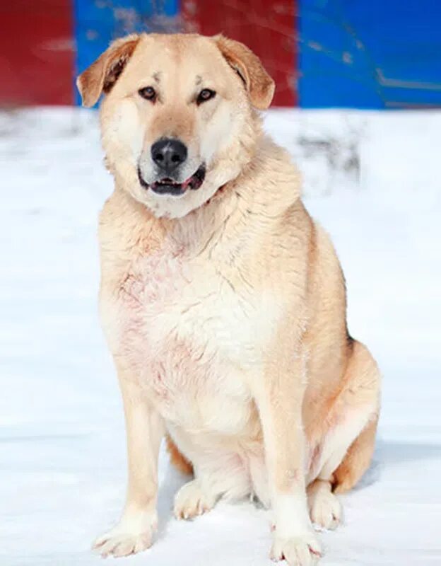 Найда. Найда