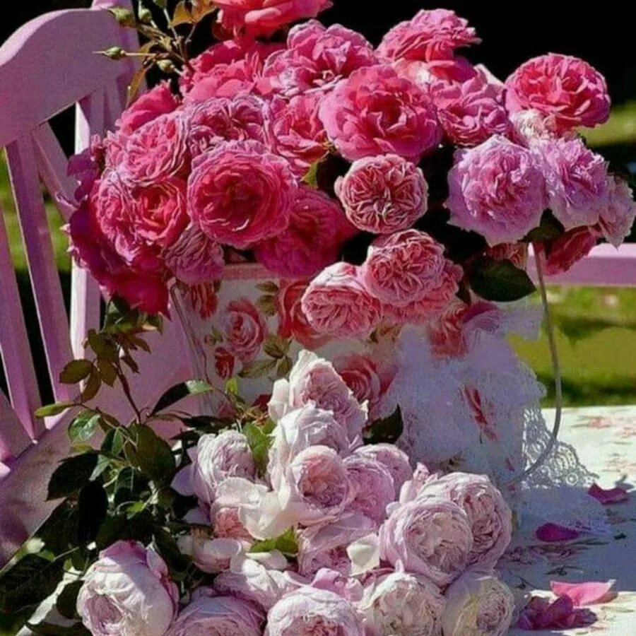 Пион красавец. Пионы для любимой. Букет пионов реальный. Каталог пионов с фото. Пионы в самаре.