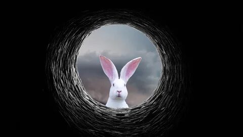 Rabbit hole furina