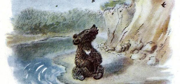 Мишка башка. Бианки мишка башка. чарушин мишка башка. мишка башка иллюстрации. рисунки к мишке-башке.