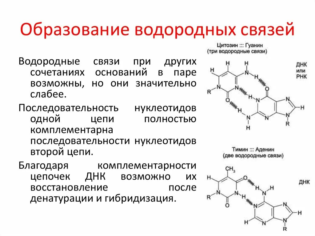 Образование водородной связи. Формирование водородных связей. Схема образования водородной связи. Водородная связь биохимия. Вещества которые образуют водородные связи