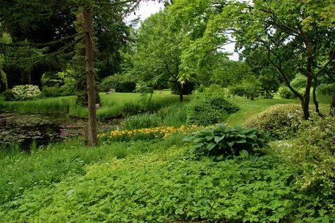 Plant country