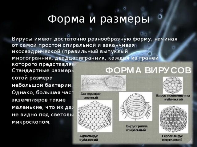 Формы вирусов с примерами. Форма и размеры вирусов. Типы вирусов биология. Форма и размеры вирусов. Вирусы геометрическая форма.