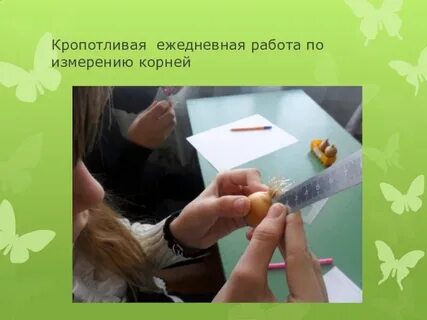 Кропотливая работа
