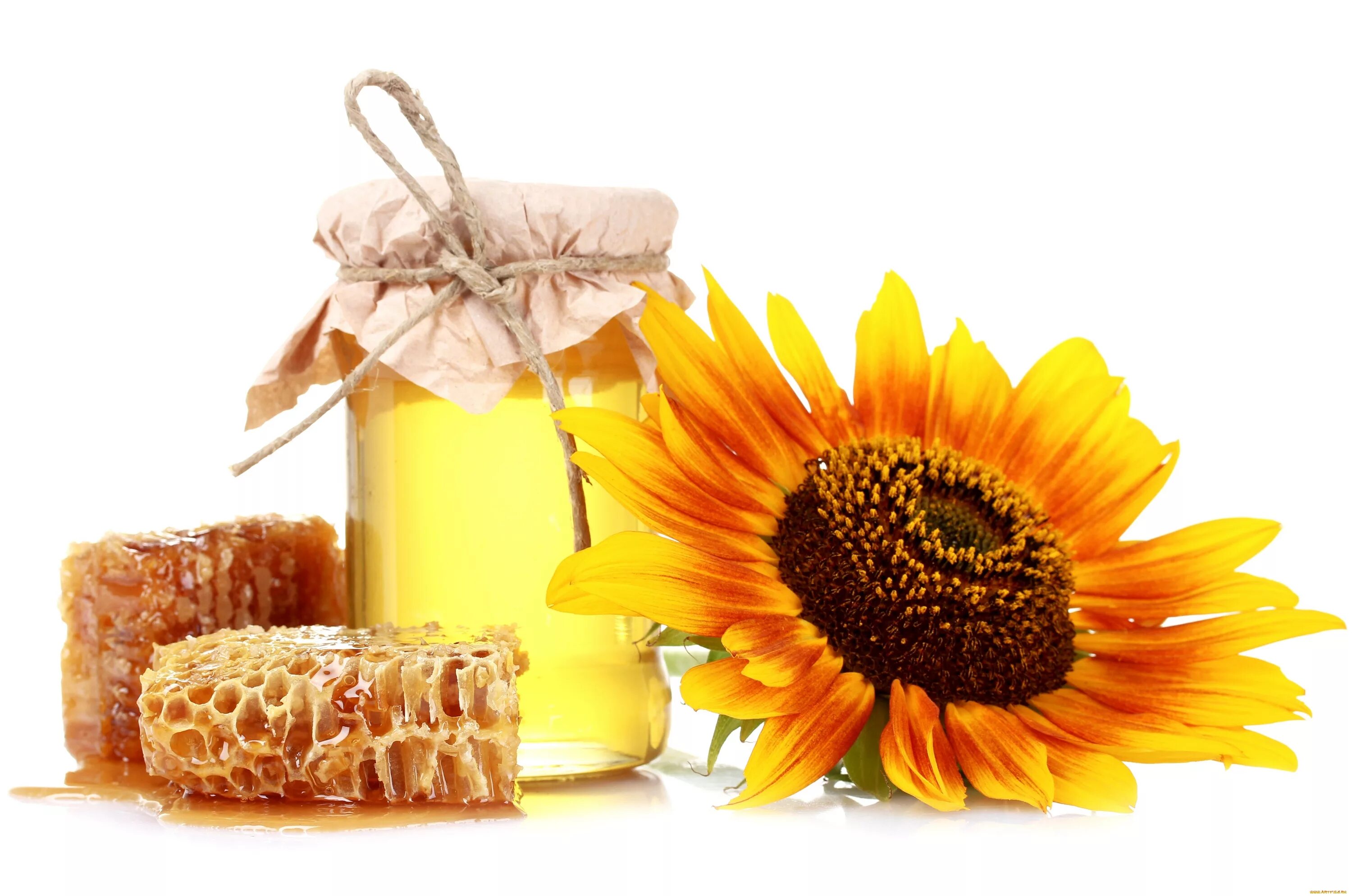 Мед подсолнух. Мёд подсолнечный разнотравие. Медовый спас на белом фоне. Мёд цветочный. Мед на прозрачном фоне.