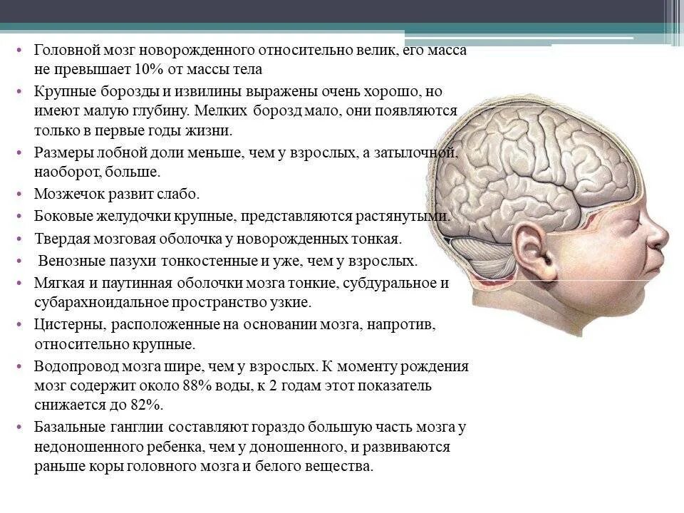 Головной мозг ребенка. Головной мозг у новорожденных. Головной мозг грудного ребенка. Объемное образование головного мозга. Опухоли теменной