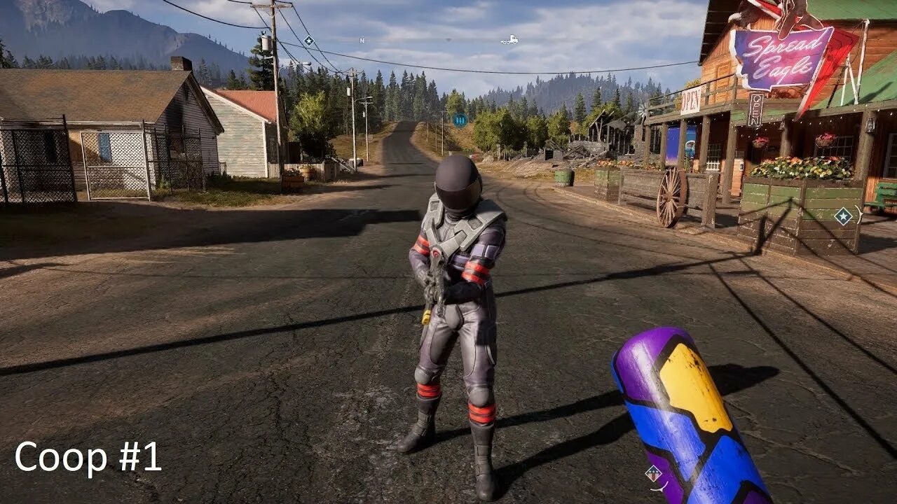 Far cry 5 coop