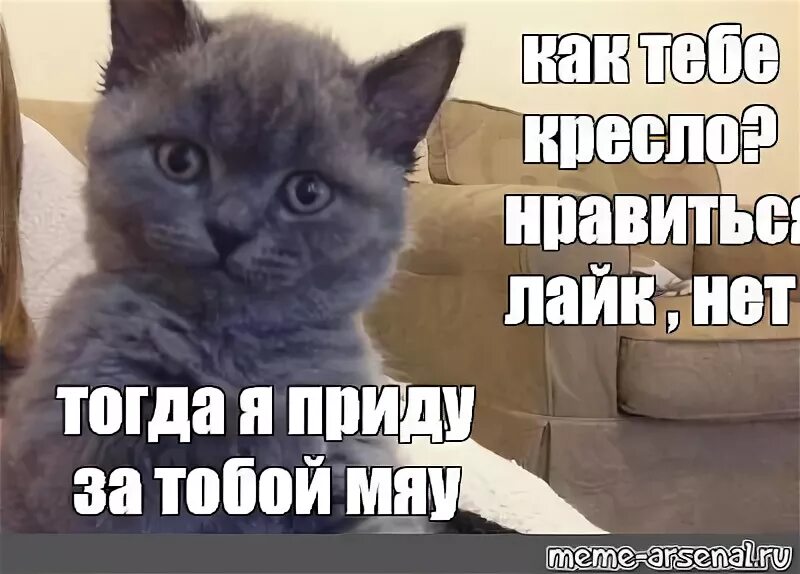 Мяу мем мужик. Туть мем. Я тебя ревную котик. Ревность смешные. Мой котик ты мой мур.
