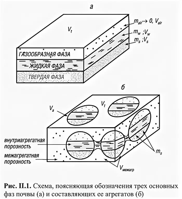 Жидкая и газообразная фазы