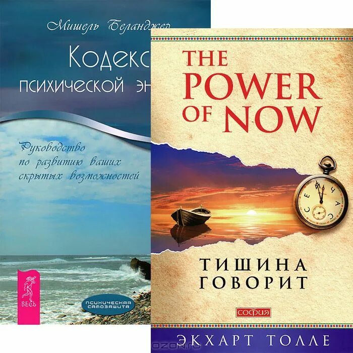 Голос тишины книга