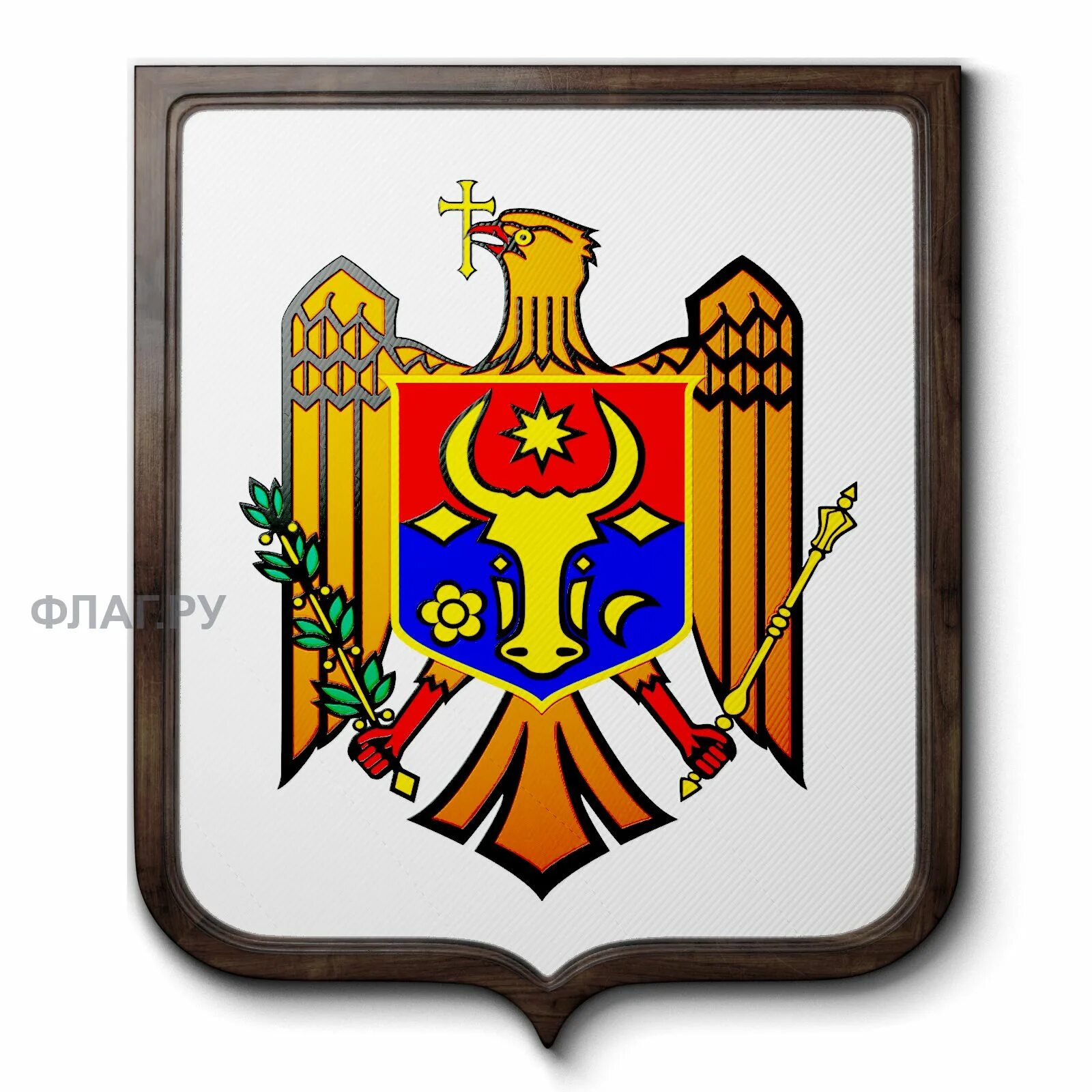 Орел молдавия