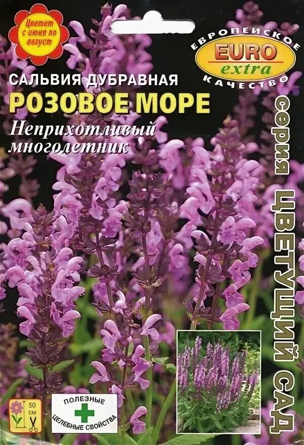 шалфей дубравный семенами. шалфей дубравный декоративный семена. сальвия дубравная семена. шалфей дубравный 'caradonna'. шалфей дубравный аметист семена.