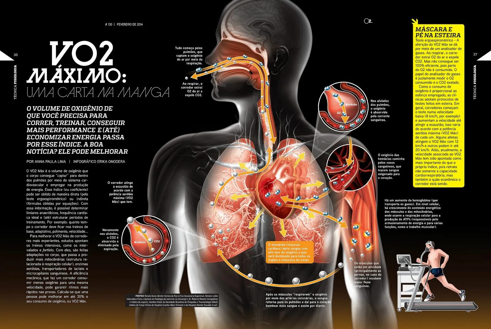 Seconds max. Vo2 max таблица. vo2 max что это. vo2max норма для женщин. vo2 max таблица по возрасту мужчин.