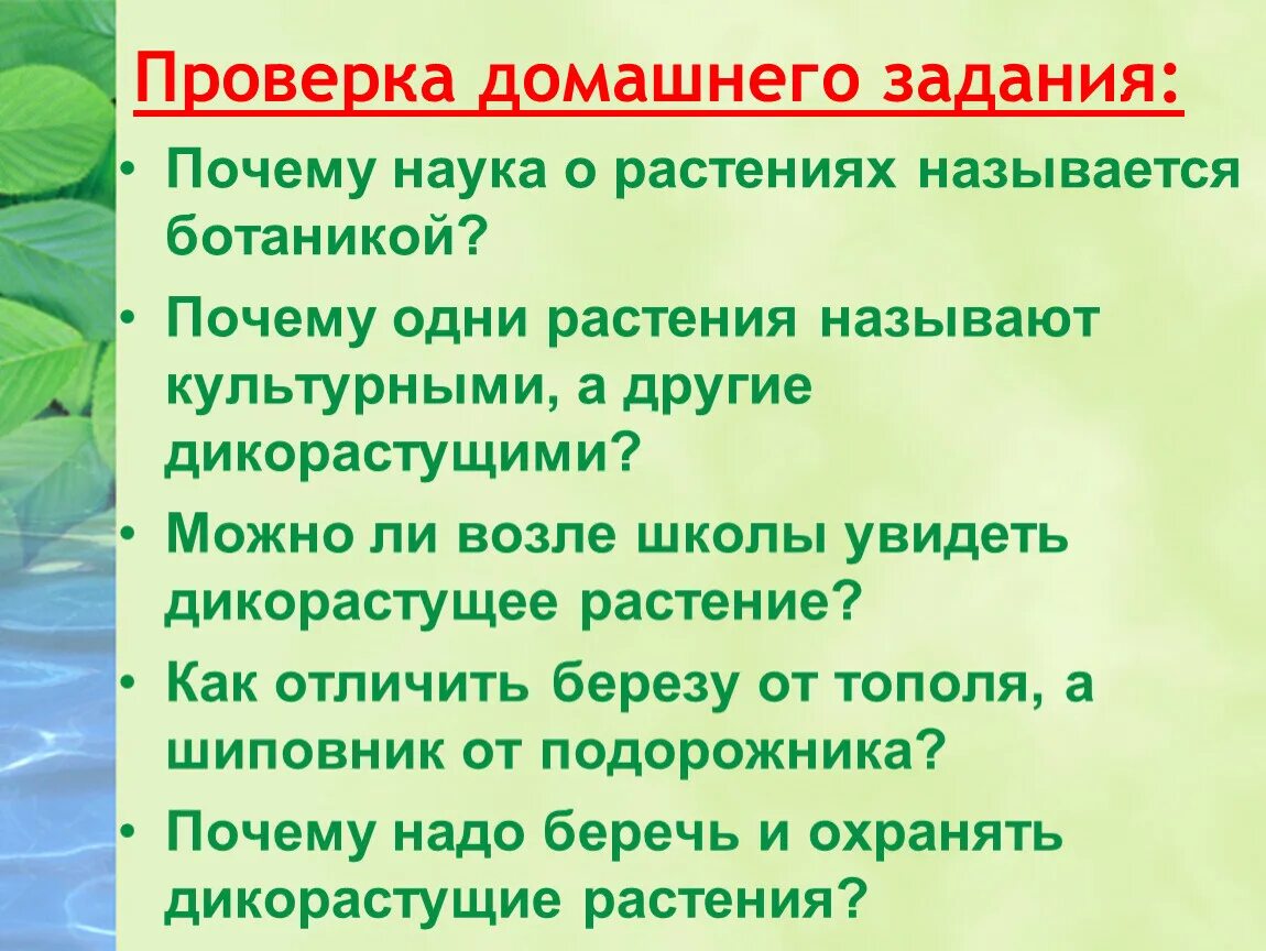 То есть наука о растениях составить предложение. Коука орасстения ботаник. Наука о растениях. Ботаника это наука изучающая. Доклад на тему ботаника наука о растениях.