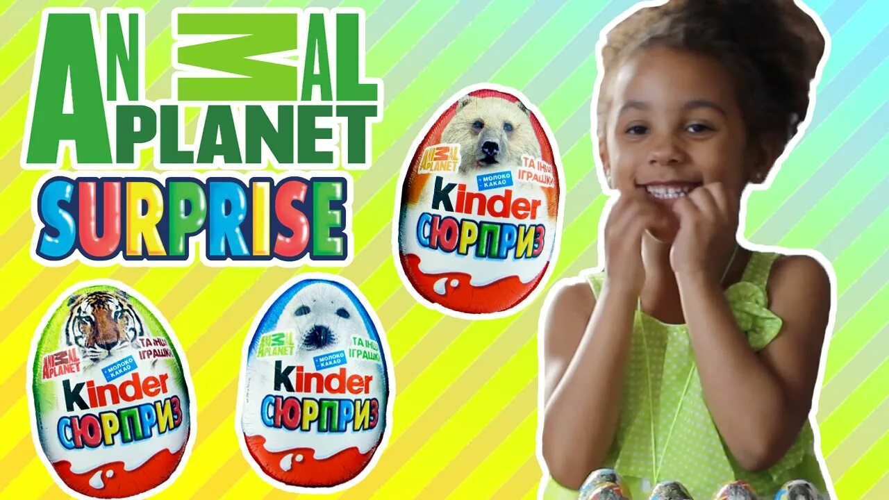 Kinder or more kind. Киндер сюрприз Энимал планет. Kinder сюрприз Энимал планет. Киндер сюрприз Энимал планет медведь. Мисс Кэти Энимал планет Киндер.