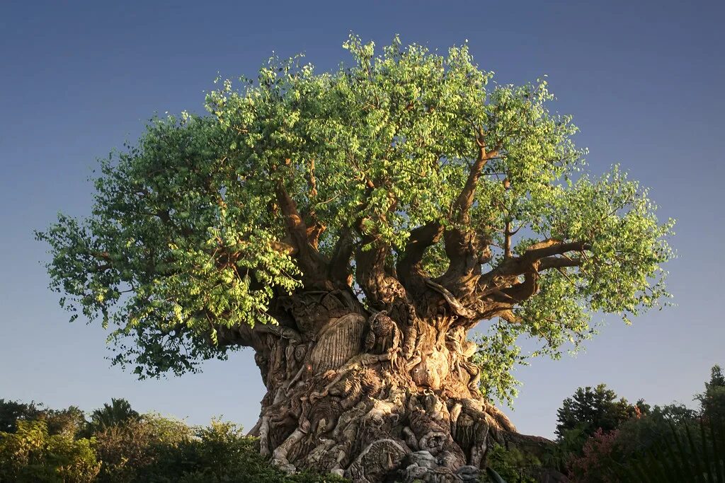 Tree v