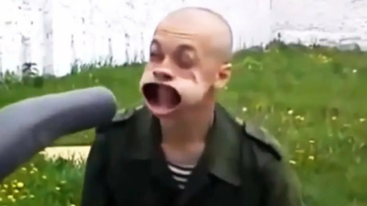 Смешные картинки с животными до слез. Смешные котики до слёз видео для детей. Забавные видосы. Забавные видосы. Кот кричит.