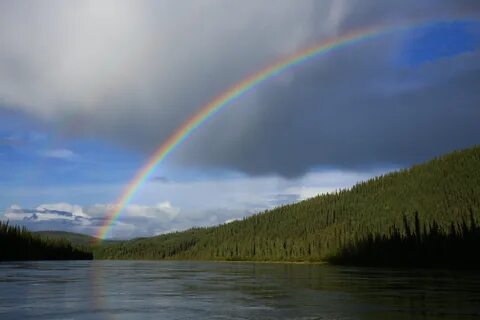 Река юкон в северной америке