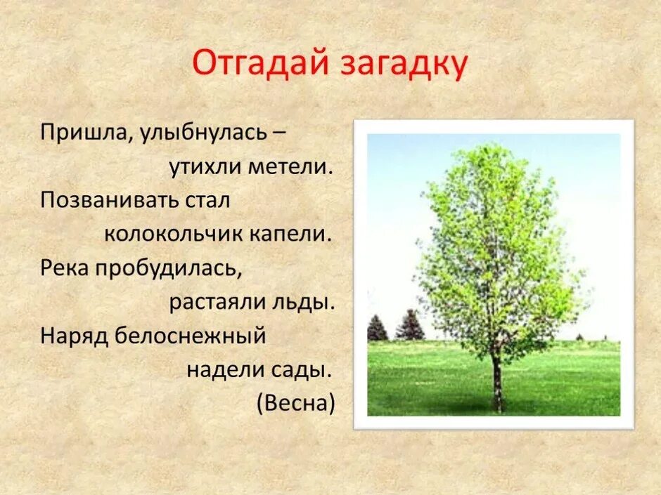 Загадки про весну старшая группа. Загадки про весну. Весенние загадки. 5 Загадок о весне. Весенние загадки с ответами.