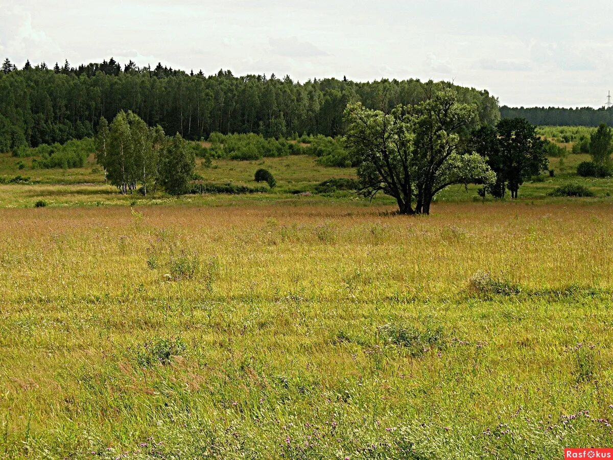 Земельные угодья. Великобритания пахотные земли. Сх угодья россии. Использование земли сельхозназначения. Сельскохозяйственные постройки.