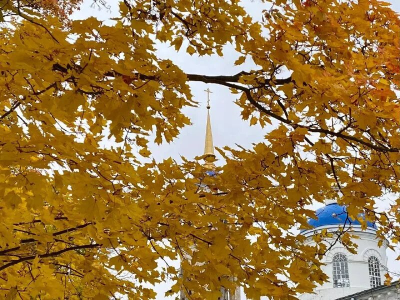 осень солнце. осень солнце. осенняя листва. листва солнце. рассвет осенью.