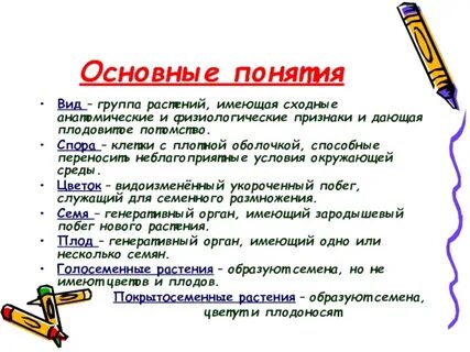 Ботаника термины