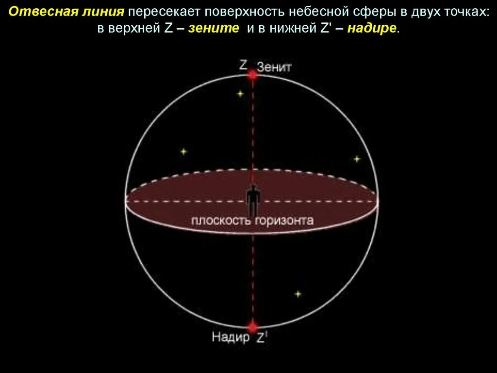 Надир точка небесной сферы. Зенит и Надир в астрономии. Зенит и Надир отвесная линия в астрономии. Отвесная линия на небесной сфере. Зенит это астрономия