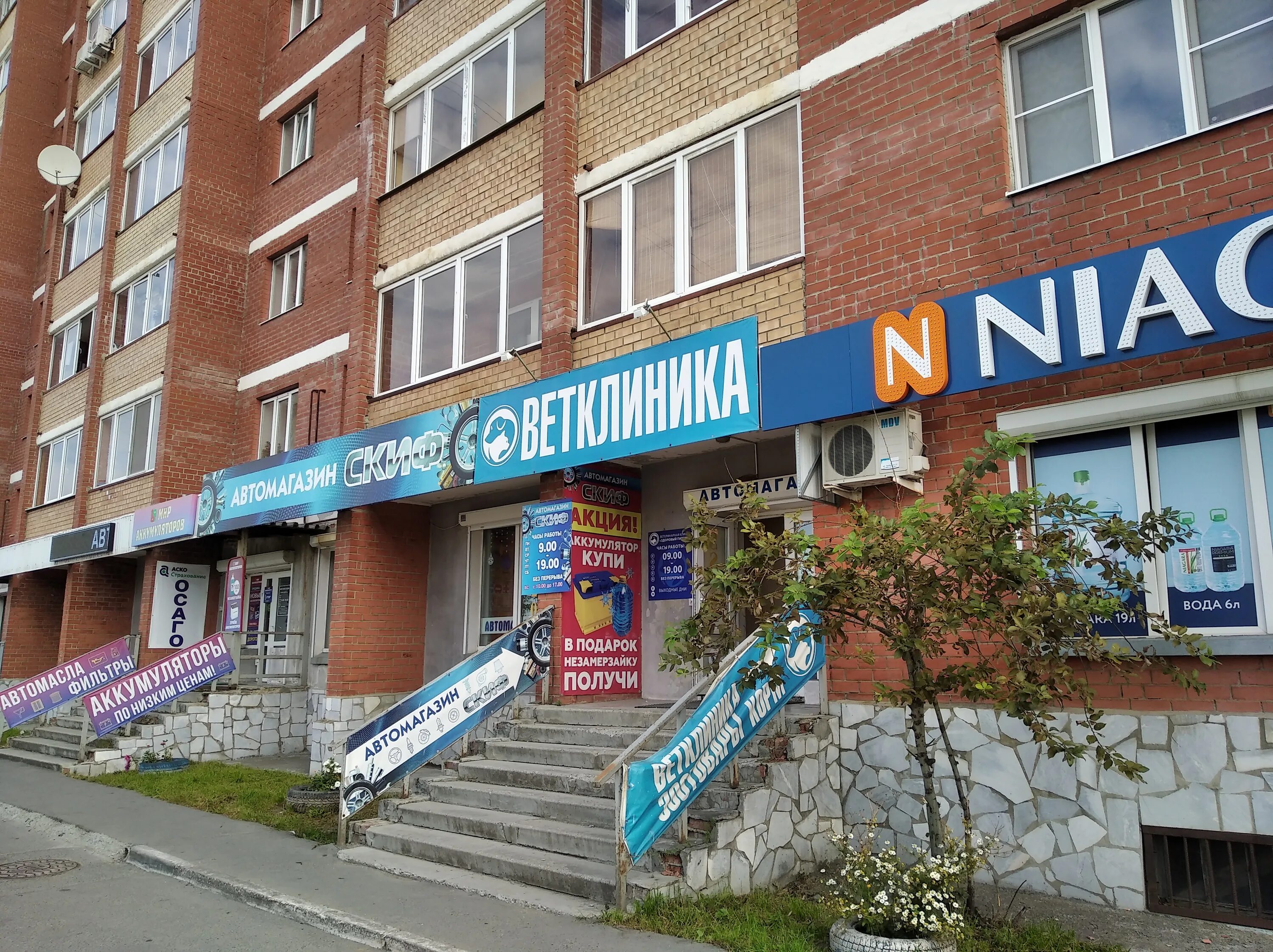 услуги ветеринарной клиники. здоровый питомец первоуральск. здоровый питомец первоуральск. в первоуральске есть государственная ветклиника. ветеринарная клиника питомец.