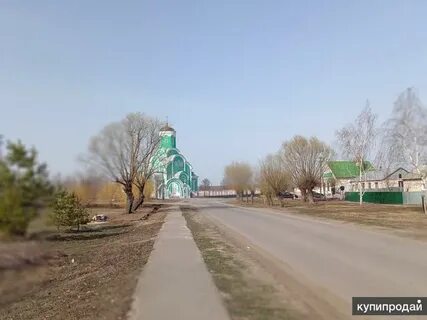 Большая липовица тамбовская область